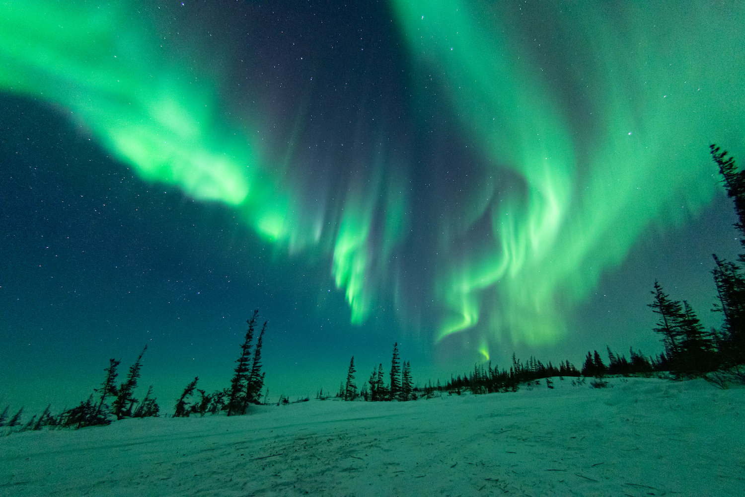 NASA Has Sent Two Rockets into the Northern Lights – Nature's Gateway