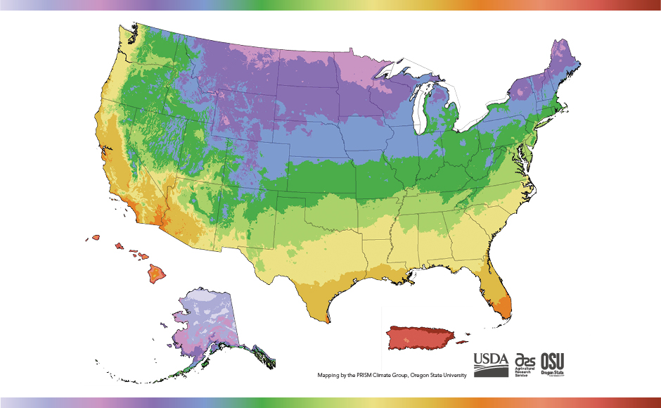 Understanding USA Hardiness Zone Maps Nature's Gateway