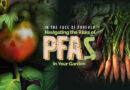 What Are PFAS And What Harm Can They Cause To Your Garden?