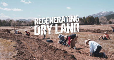 No Water, No Problem! Regenerating Dry Land Without Irrigation