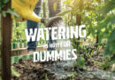 Golden Rules For Watering Your Garden Properly