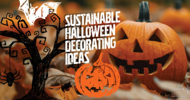 Sustainable Halloween Decorating Ideas | Garden Culture Magazine