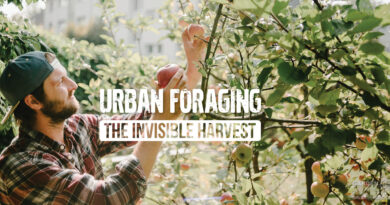 The Rise of Urban Foraging – The Invisible Harvest