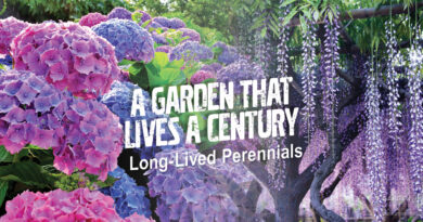 A Garden That Lasts a Century!