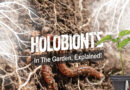 Holobionts In The Garden, Explained!