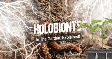 Holobionts In The Garden, Explained!