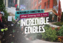 Urban Gardening with Incredible Edibles