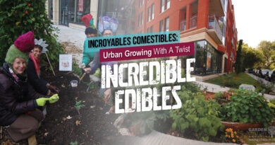 Urban Gardening with Incredible Edibles