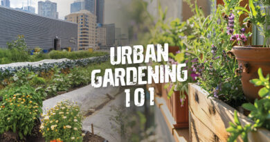 How To Plant An Urban Garden And Why It’s Important