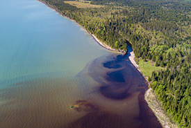 NCC: Land Lines – Restoring Waterways at Black Bay