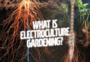 What Is Electroculture Gardening? | Garden Culture Magazine