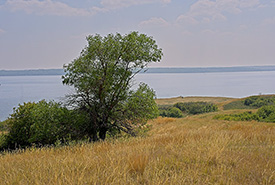 NCC: Land Lines – A win for nature: A community’s determination for conservation in the Upper Qu’Appelle Valley