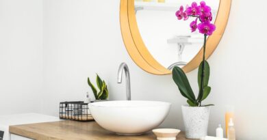 17 Houseplants That Love Living in Your Bathroom