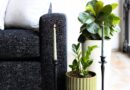 9 Houseplants for Midcentury Modern Home Styles