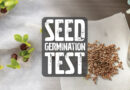 Testing 1,2,3: How to do a Seed Germination Test