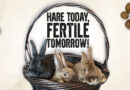 Hare Today, Fertile Tomorrow! The Garden Magic of Rabbit Manure