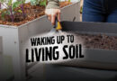 Organic Home Gardening with Living Soil